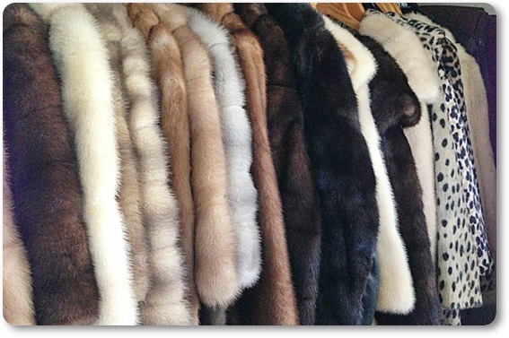 �є甃��E�ΐ쌧�ō�������E���z����Ȃ�R�R�������I