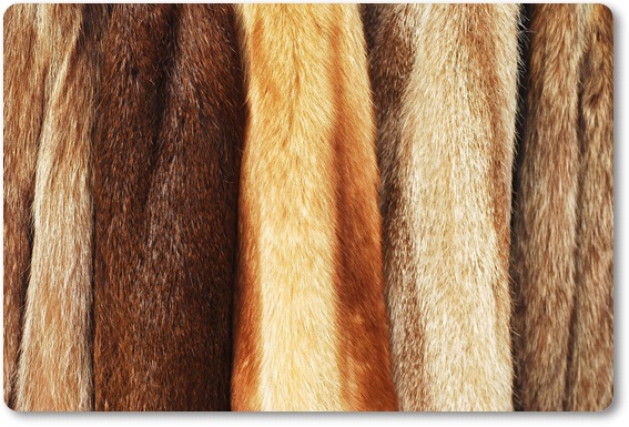 �є甃��E���{�ō�������E���z����Ȃ�R�R�������I