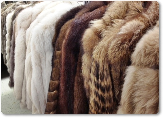 �є甃��b�r�܁i�L����j�ō��z����E��������Ȃ�_���g�c�ɃR�R�I